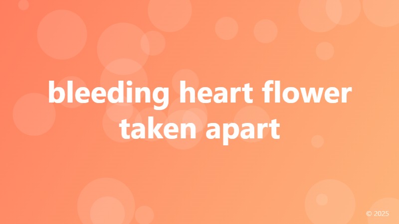 bleeding heart flower taken apart