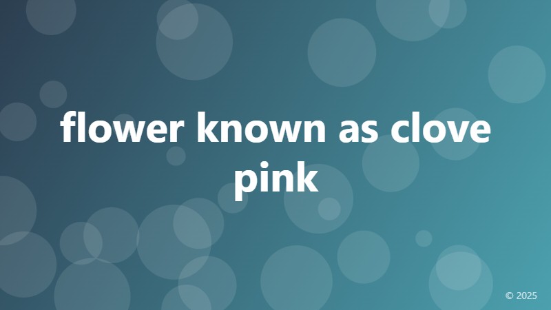 flower known as clove pink